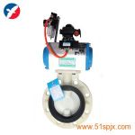D671G(dng)PPy