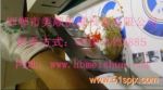 MS-CSD300DʳƷиǹи