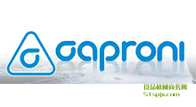 CaproniҺX݆ I(y)ҺO(sh)
