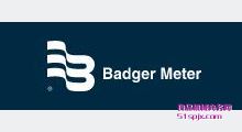 Badger MeterӋ(j) y