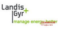 Landis+Gyrȼ/늱/⾀̽y