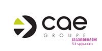CAEGroupeͬS|/(zh)