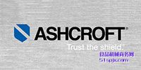 ASHCROFT/_(ki)P(gun)