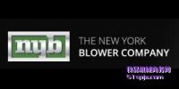 NYBSL(fng)/xL(fng)C(j)/I(y)L(fng)C(j)/L(fng)C(j)