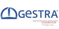 (gu)GESTRAy/y/ˮ