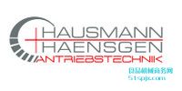 Hausmann + HaensgenS/(lin)S