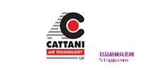Cattani՚≺sC(j)/ձ