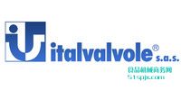 Italvalvole{(ji)y/_Py/È(zh)