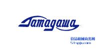Tamagawa늙C(j)/ŷ늙C(j)/ֱ늙C(j)