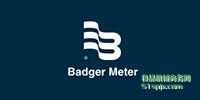 BadgerMeterpy/늴Ӌ/{(dio)(ji)y