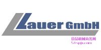 LAUERı@ʾ/|//ؙC