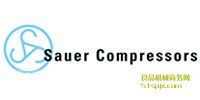SauersC/՚≺sC/ݗUʽsC