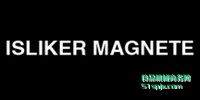 ʿIsliker Magnete늴y/늴F/늴žȦ