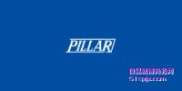 Pillar ƷƽB