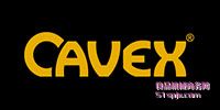 CAVEX΁݆΁U/p늙C(j)