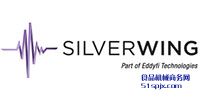 Silver(ch)/zy(c)ϵy(tng)/g