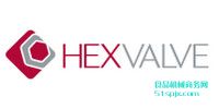 (gu)Hex ValveyT/y/ֹy