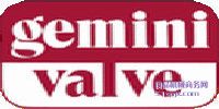 Geminiy/y/(zh)