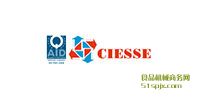 CIESSEʽQ/