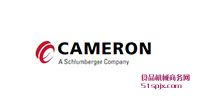 CAMERONy///ly/(ji)y/(zh)