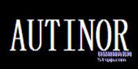 Autinor ƷƽB