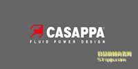 CASAPPAX݆/R_(d)//