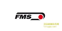FMSmƫ///׃