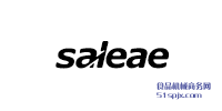 Saleae ƷƽB