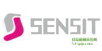 Sensit/ضȂ/@ʾ