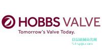 Ӣ(gu)Hobbs Valveƫĵy/йy/ŷy