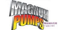 (gu)Magnum/C(j)