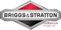 Briggs & Stratton ƷƽB