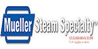 Mueller Steam^V/Y^V/ֹy/y