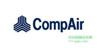 COMPAIRo(w)͉sC(j)/ՉC(j)