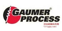 GAUMER PROCESSӟ/Q
