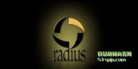 Radiusλ_(ki)P(gun)/λ_(ki)P(gun)/늴y/λ/(zh)