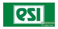 ӢESI