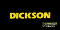 DICKSONضȈDӛ䛃x/(sh)(j)ӛ䛃x/(sh)@ʾضӋ