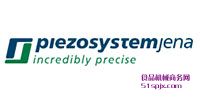 PiezosystemƄ(dng)_