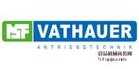(gu)MSF-Vathauer׃
