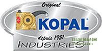 (gu)KOPALAϵy(tng)/ȥë/sҺ