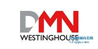 DMN-Westinghouse(lin)S