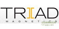 Triad-Magnetics ׃