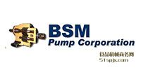 BSM PumpX݆/~Ƭ/xı
